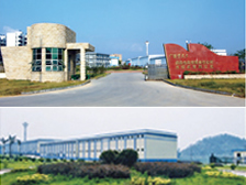 The dragon of guangxi industrial co., LTD